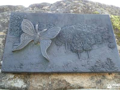 Ruta y Comida de Navidad;Mariposa Graellsia isabellae; rio borosa ruta el cañon del sil cañon de la 